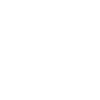 conveniences given by accounting system